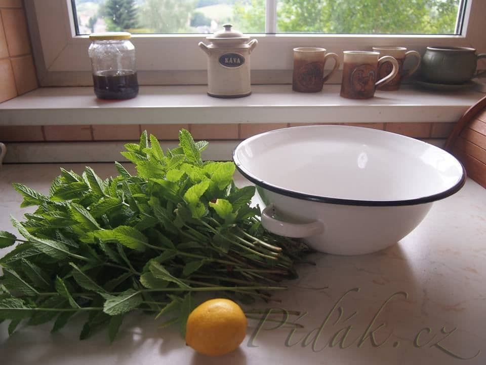 1. obrázek Mátový sirup - nevařený 