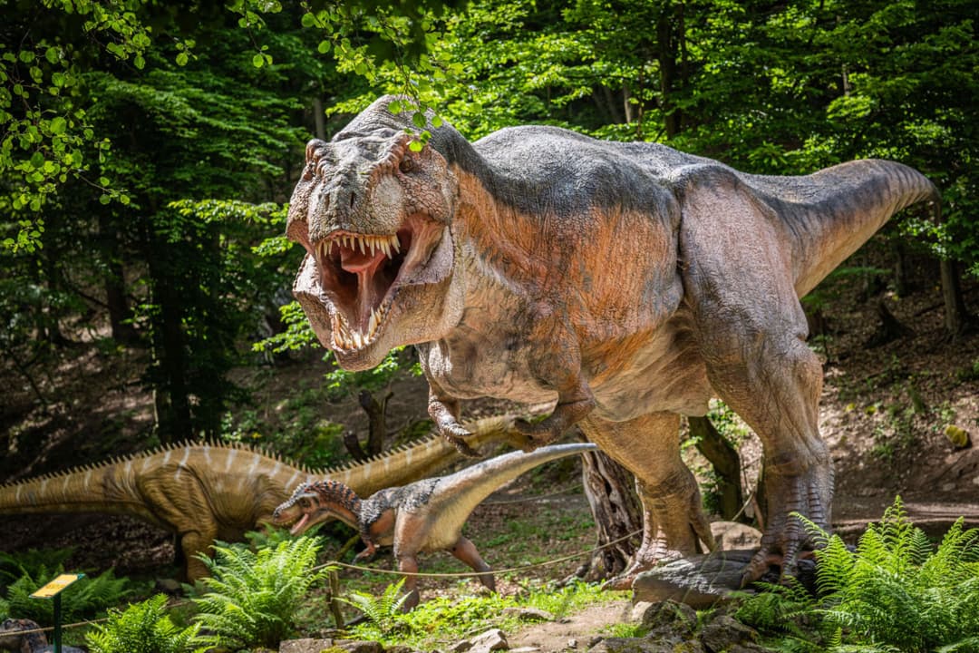 1. obrázek DinoPark ZOO Košice