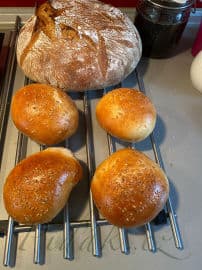 Obrázek Burgrové houstičky s přidáním Lievito Madre