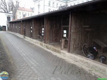 7. obrázek Ekocentrum Zahrada - Mladá Boleslav