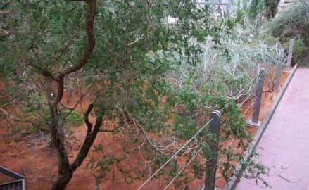 5. obrázek Botanická zahrada Liberec