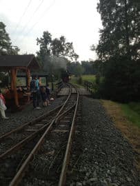 9. obrázek Řepařská drážka Sendražice  - výlet parní nebo dieslovou mašinkou - Kolín