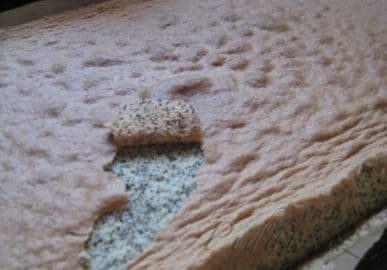 10. obrázek Francúzske medové rezy