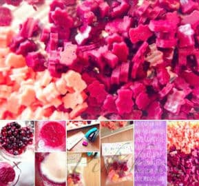 Obrázek Domácí medvídci