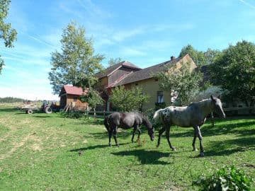 7. obrázek Farma Rybníček