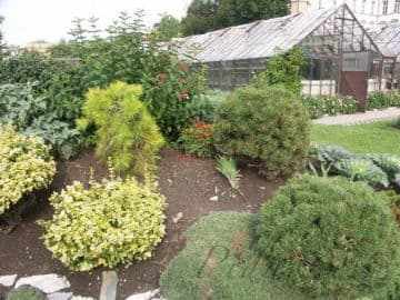 2. obrázek Ekocentrum Zahrada - Mladá Boleslav