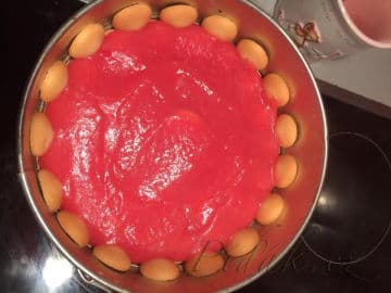 8. obrázek Mokrej pes od babičky