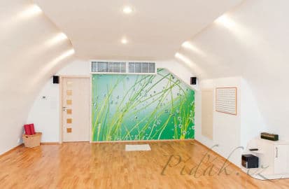 5. obrázek Yogacentrum - Praha Holešovice
