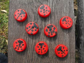 8. obrázek Lesní klub Kopretina- Příbram 8. obrázek Lesní klub Kopretina- Příbram