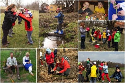 Obrázek V mechu a kapradí- Klánovice- Praha