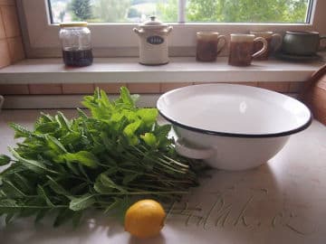 Obrázek Mátový sirup - nevařený