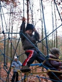 2. obrázek Dětský lesní klub U tří veverek- Hradec Králové