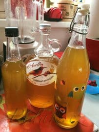 Obrázek Pampeliškový sirup by Romča