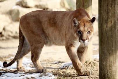 2. obrázek Tropic Hukvaldy