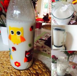 Obrázek Domácí kokosové mléko - jak na to