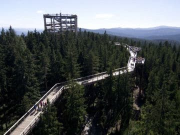 3. obrázek Stezka korunami stromů - Active Park Lipno