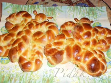 Obrázek Kynutí motýlci