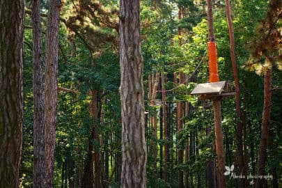 Obrázek Lanový park ABYSS- Praha