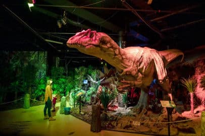 Obrázek DinoPark Plaza Liberec