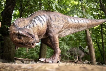 7. obrázek DinoPark ZOO Vyškov 