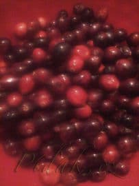 Obrázek Brusinkové želé