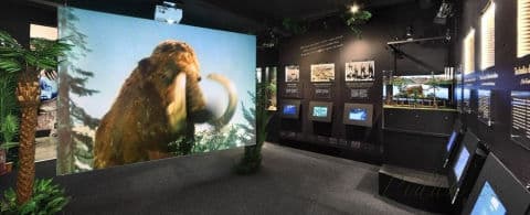 2. obrázek Muzeum Karla Zemana - Praha