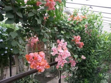 5. obrázek Ekocentrum Zahrada - Mladá Boleslav