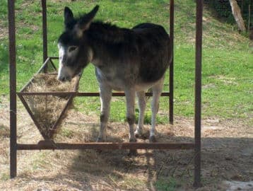 7. obrázek Výletní Areál Pěnčín