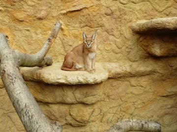 2. obrázek Zoopark zájezd- Kladno