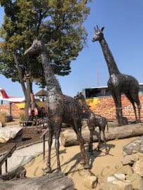 7. obrázek Kovozoo - Staré Město