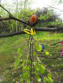 9. obrázek Lesní klub Kopretina- Příbram 9. obrázek Lesní klub Kopretina- Příbram