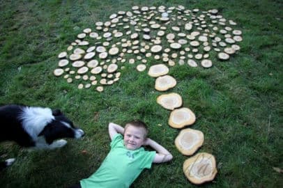 5. obrázek Za Bukem- Lesní mateřská školka- Pardubice 5. obrázek Za Bukem- Lesní mateřská školka- Pardubice