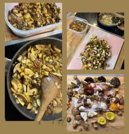 Obrázek Jak správně zamrazit houby a proč