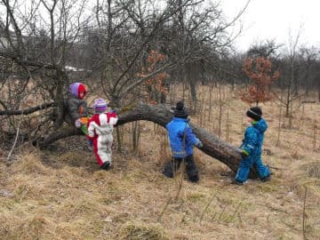 6. obrázek Lesní klub Kopretina- Příbram 6. obrázek Lesní klub Kopretina- Příbram