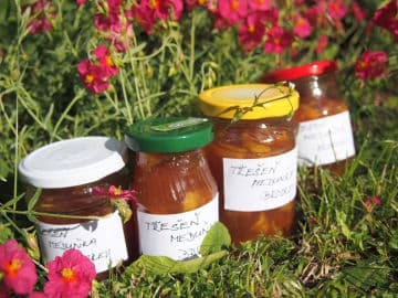 Obrázek Třešňová marmeláda s meduňkou