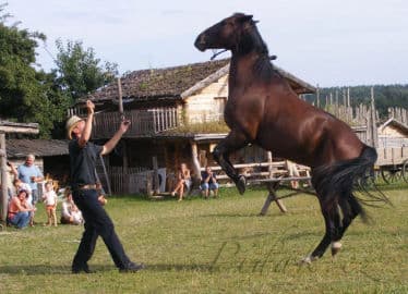 4. obrázek Fort Hary - Pevnost Lovců Kožešin A Indiánské Muzeum - Jarotice 4. obrázek Fort Hary - Pevnost Lovců Kožešin A Indiánské Muzeum - Jarotice