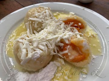 Obrázek Tvarohové knedlíky - meruňkové