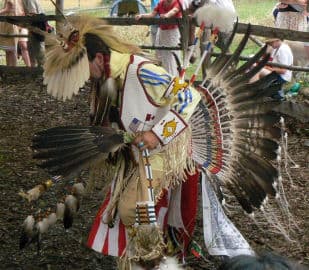 5. obrázek Fort Hary - Pevnost Lovců Kožešin A Indiánské Muzeum - Jarotice 5. obrázek Fort Hary - Pevnost Lovců Kožešin A Indiánské Muzeum - Jarotice