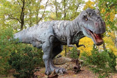 Obrázek DinoPark ZOO Plzeň