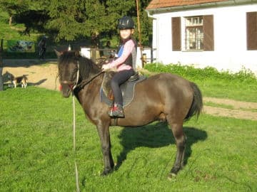 Obrázek Pobyty u koní - nedaleko Brna